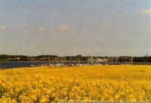 img154 5 Zimmer-Ferienhaus mit Ostseeblick