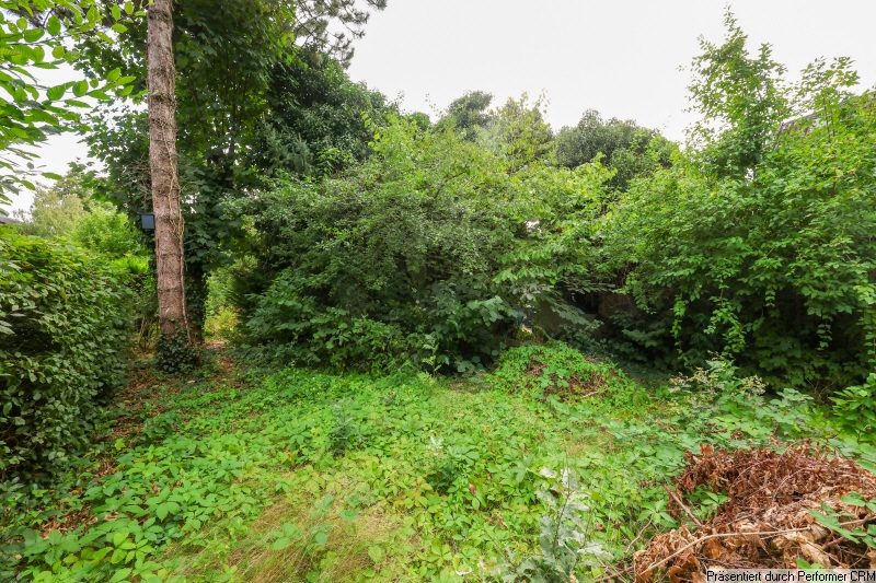 8 hintere Gartenseite Wohngrundst�ck Schenefeld
